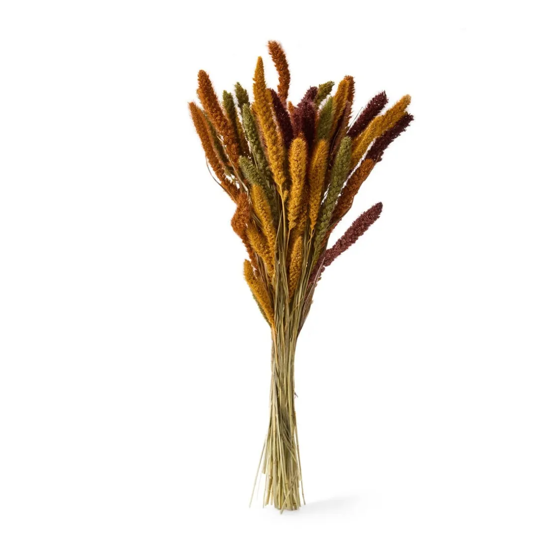 GRANIT Bukett Setaria 70cm Mix- Torkade & Preserverade Växter