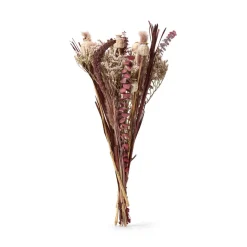 GRANIT Bukett Zamora 60cm- Torkade & Preserverade Växter