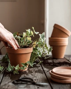 GRANIT Fat Terrakotta 11cm- Växt- & Odlingstillbehör|Krukor