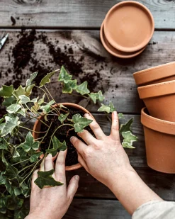 GRANIT Kruka Terrakotta 13,5cm- Växt- & Odlingstillbehör|Krukor