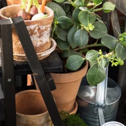 GRANIT Kruka Terrakotta 18cm- Växt- & Odlingstillbehör|Krukor