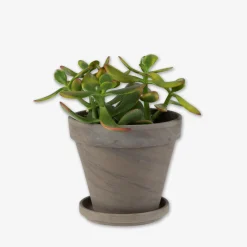 GRANIT Kruka Terrakotta 13,5cm Grå- Växt- & Odlingstillbehör|Krukor