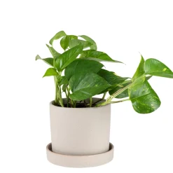 GRANIT Kruka/Fat Stengods 14cm Beige- Växt- & Odlingstillbehör|Krukor