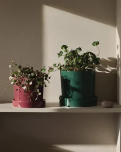 GRANIT Stengodskruka/Fat 17,5cm Glaserad Vinröd- Krukor