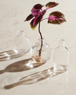 GRANIT Vas Stickling Rund 10x8,8cm Klar- Växt- & Odlingstillbehör|Vaser